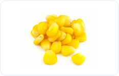 Corn Kernels 