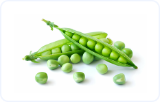 Pea