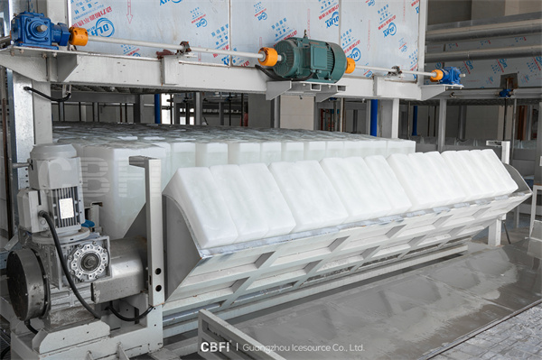 162 Tons Direct Cooling Block Ice Factory CBFI Cases Showcase.