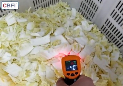 Vegetable Quick Freezer: Why Can't It Reach -30°C?